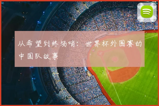从希望到终场哨:世界杯外围赛的中国队故事