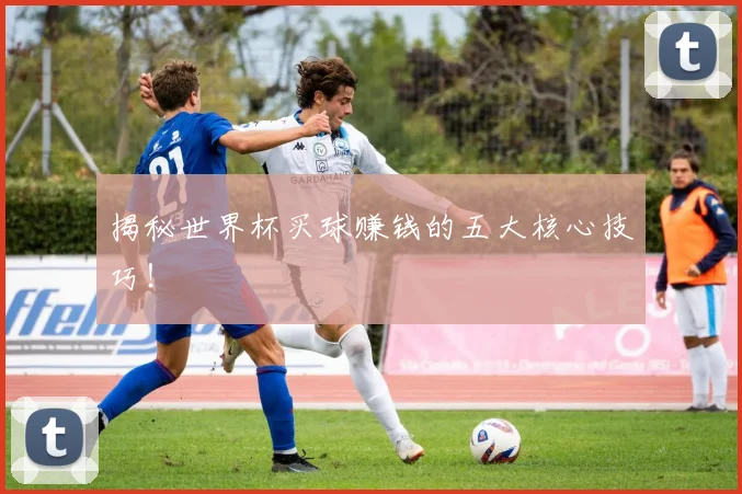揭秘世界杯买球赚钱的五大核心技巧！