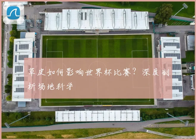 草皮如何影响世界杯比赛？深度剖析场地科学