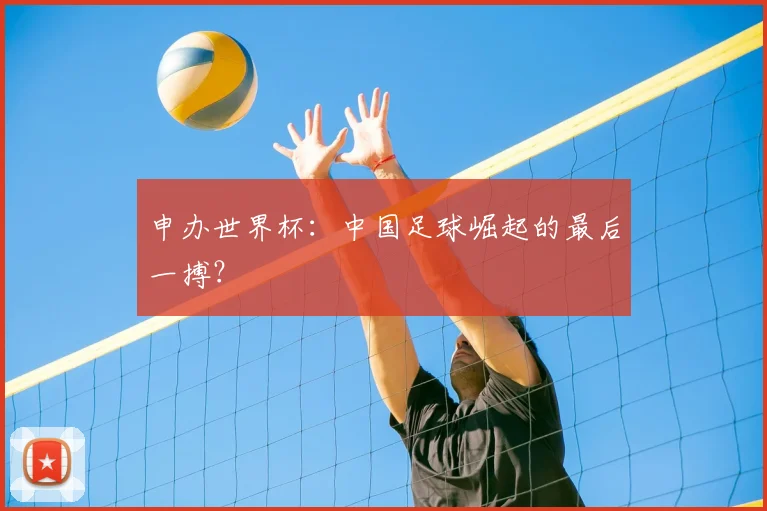 申办世界杯:中国足球崛起的最后一搏?