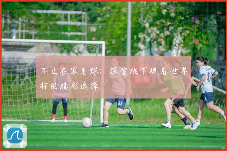 不止在家看球：探索线下观看世界杯的精彩选择