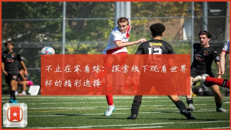 不止在家看球：探索线下观看世界杯的精彩选择